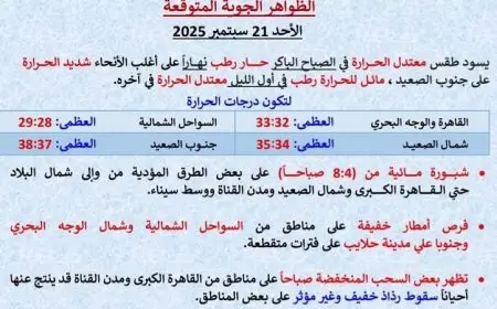 طقس حار ورطب غدا مع أمطار خفيفة في الشمال ودرجات الحرارة بالقاهرة تصل إلى 33 درجة مئوية