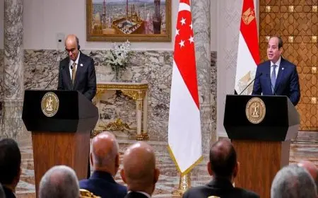 الرئيس السيسي يشجع زيادة الاستثمارات السنغافورية في الاقتصاد المصري