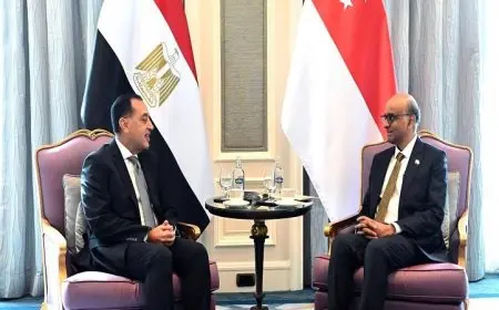 رئيس الوزراء يؤكد عزمه على تعزيز التبادل التجاري بين مصر وسنغافورة