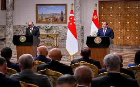 رئيس سنغافورة يثمن جهود الرئيس السيسي في تعزيز العلاقات الثنائية بين البلدين