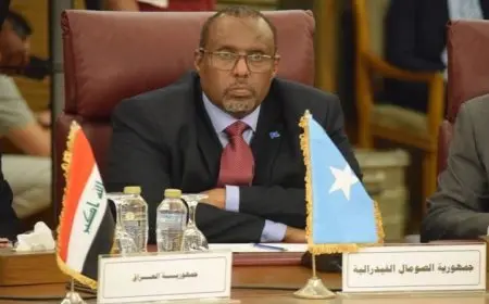 سفير الصومال في القاهرة يثني على دعم مصر القوي لبلاده