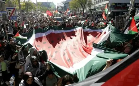 تظاهرة حاشدة في فيينا ضد الهجوم الإسرائيلي في غزة