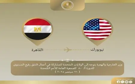 عبد العاطي يسافر إلى نيويورك للمشاركة في فعاليات الجمعية العامة للأمم المتحدة