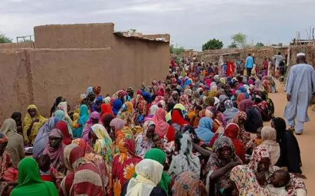 مصر تندد بشدة بالهجوم على مسجد في مدينة الفاشر