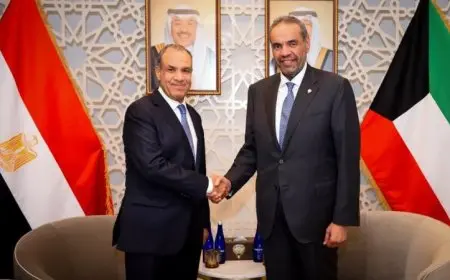 وزير الخارجية يؤكد على ضرورة تعزيز التعاون مع الكويت في إفريقيا