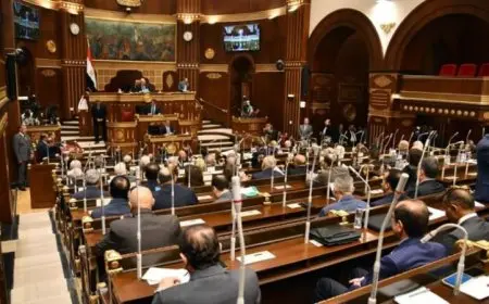 أمين عام الشيوخ يعلن اكتمال الاستعدادات لاستقبال الأعضاء المنتخبين