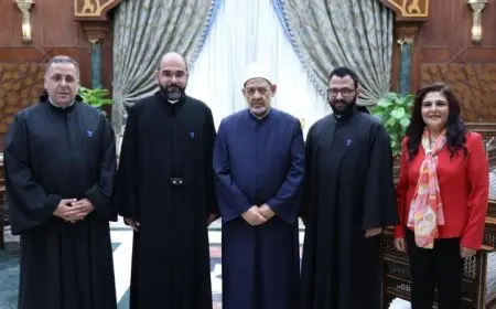 شيخ الأزهر يدعو لإطلاق صوت الدين والمؤسسات الدينية للحد من العدوان على غزة