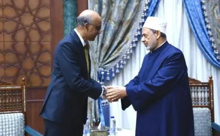شيخ الأزهر ورئيس سنغافورة يتفقان على تعزيز الجهود لوقف العدوان على غزة