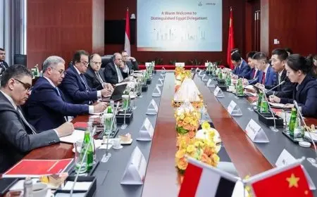 وزير الصحة يستعرض مع شركة ميندراي فرص تصنيع الأجهزة الطبية محليًا بالصور