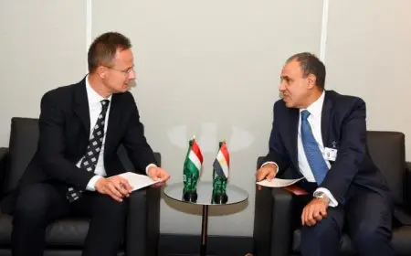 وزير الخارجية يثمن دعم المجر لمصر في الاتحاد الأوروبي صور