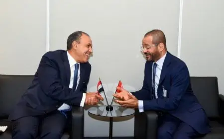 عبد العاطي يعلن التزام مصر القوي بأمن دول التعاون الخليجي خلال لقائه مع نظيره العماني