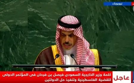 وزير الخارجية السعودي يؤكد أن مؤتمر حل الدولتين يمثل فرصة تاريخية لتحقيق السلام في المنطقة