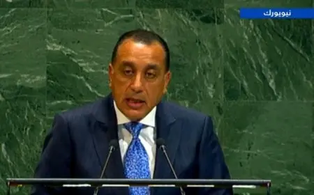 رئيس الوزراء مصطفى مدبولي يعرض رؤية مصر في المؤتمر الدولي لحل الدولتين