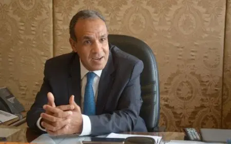 مؤتمر حل الدولتين في ظل الأوضاع الكارثية بقطاع غزة وفقاً لعبدالعاطي