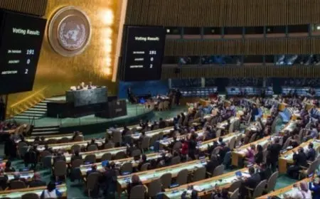 بيان مشترك يؤكد على ضرورة توحيد غزة والضفة خلال مؤتمر حل الدولتين