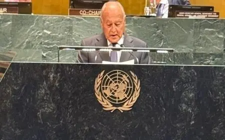 أبو الغيط يدعو الدول المعترفة بفلسطين لتحمل مسؤولية حماية الفلسطينيين