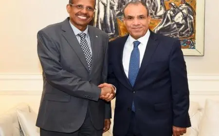 وزير الخارجية يناقش تعزيز التعاون مع رئيس مفوضية الاتحاد الإفريقي عبر لقاء مهم