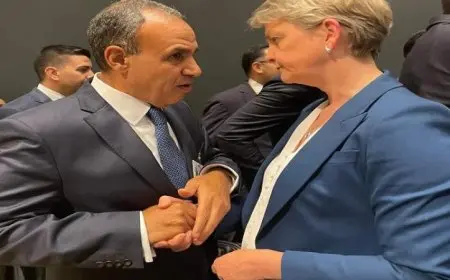 عبد العاطي يعزز جهود تطوير العلاقات المصرية البريطانية لتعزيز التعاون المشترك