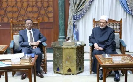 شيخ الأزهر يلتقي وزير التعليم العالي والبحث العلمي السوداني لتعزيز التعاون الأكاديمي