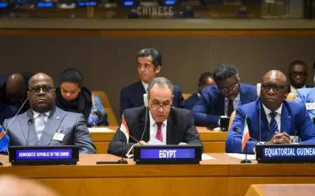 وزير الخارجية يعقد جلسة هامة في مجلس السلم والأمن الأفريقي