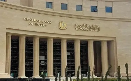 استشهاد 73 فلسطينيا برصاص وقصف الاحتلال الإسرائيلى على غزة منذ فجر اليوم