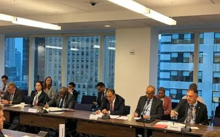 وزير الخارجية المصري يعبر عن دعم بلاده لسيادة السودان ووحدة أراضيه والسلامة الإقليمية