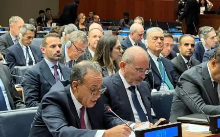 وزير الخارجية يشارك في الاجتماع الوزاري للتحالف الدولي لتعزيز حل الدولتين