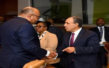 وزير الخارجية يبحث مع نظيره التنزاني تعزيز العلاقات الثنائية ودعم التعاون المشترك