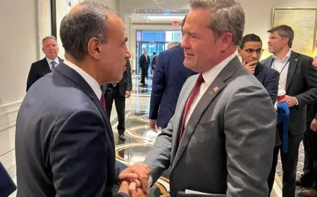 مصر والولايات المتحدة تعززان العلاقات الاستراتيجية في إطار الأمم المتحدة