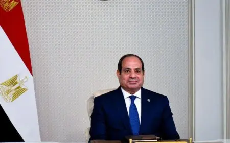 السيسي يشدد على ضرورة التمسك بخيار السلام ويدعو للحفاظ على معاهدة كامب ديفيد