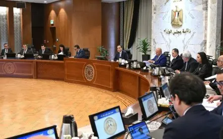 موافقة الوزراء على إنشاء 3 مشروعات في المناطق الحرة الخاصة تعزز الاقتصاد الوطني