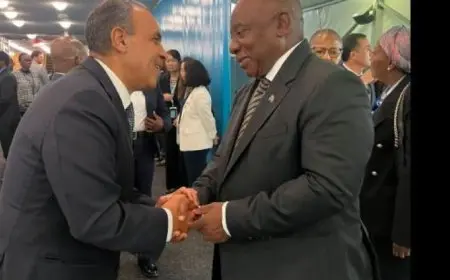 عبد العاطى يناقش تعزيز العلاقات مع رئيس جنوب أفريقيا