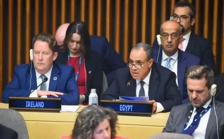 وزير الخارجية يشارك في الاجتماع الثاني لوزراء خارجية مجموعة العشرين لتعزيز التعاون الدولي