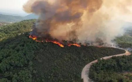 سوريا: السيطرة على 80% من بؤر النيران بحرائق جبل التركمان بريف اللاذقية