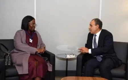 عبد العاطي يجتمع بوزيرة خارجية موزمبيق لتعزيز العلاقات الثنائية بين البلدين