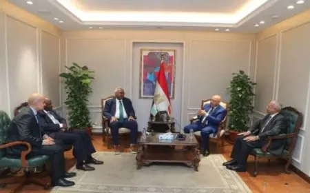مصر تؤكد التزامها بدعم جهود التنمية في جيبوتي حسب تصريحات كامل الوزير