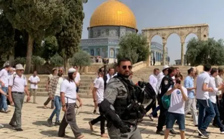 مستوطنون يقتحمون بلدة “طمون” جنوب طوباس.. وحملة اعتقالات فى نابلس وقلقيلية