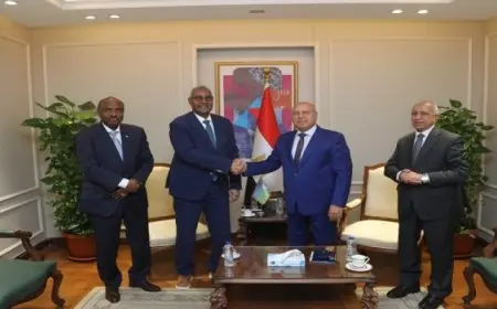 مصر وجيبوتى تبحثان تدعيم التعاون المشترك فى مجالى النقل والصناعة