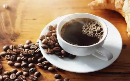 وزير المالية: نستهدف تعزيز التعاون المشترك مع ألمانيا فى مختلف المجالات الاقتصادية