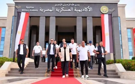 الرئيس السيسي يثمن الاعترافات الدولية المتزايدة بالدولة الفلسطينية