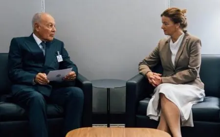 أبو الغيط ووزيرة خارجية سلوفينيا يتعاونان ضد مخطط الاحتلال الإسرائيلي لغزة