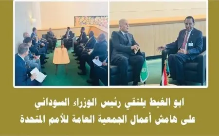 أبو الغيط يؤكد التزام الجامعة العربية بالحفاظ على سيادة السودان ووحدته