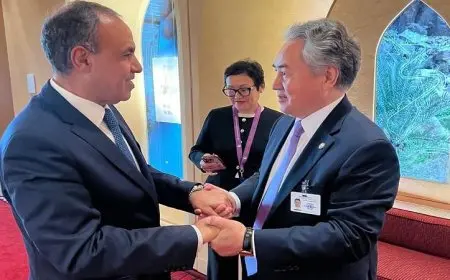 وزير الخارجية المصري يبرز أهمية العلاقات التاريخية القوية مع قيرغيزستان