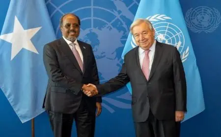 الرئيس الصومالي يناقش مع جوتيريش استراتيجيات تعزيز الأمن وتنظيم الانتخابات في البلاد