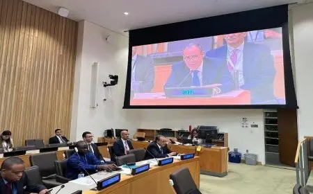 عبد العاطي يشارك في الاجتماع الهام لوزراء خارجية منظمة التعاون الإسلامي لتعزيز التعاون الدولي