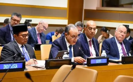 وزير الخارجية يشارك في قمة وزراء خارجية مجموعة البريكس لتعزيز التعاون الدولي