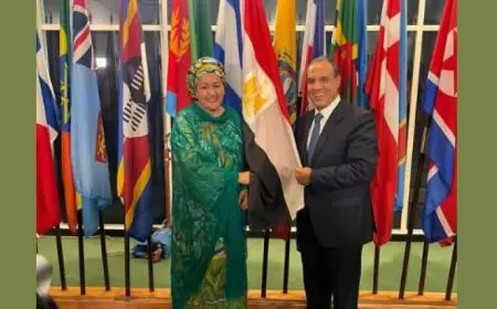 وزير الخارجية يبرز أهمية الأمم المتحدة في تعزيز السلم والأمن والتنمية العالمية