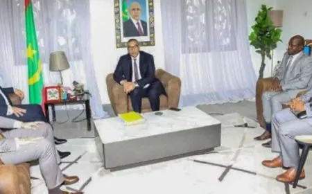 السفير المصري في نواكشوط يناقش مع وزير التعليم العالي الموريتاني سبل تعزيز التعاون الأكاديمي