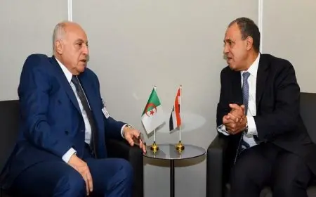 وزير الخارجية يشدد على أهمية اجتماعات الآلية الثلاثية لدول الجوار الليبي لتعزيز التعاون الأمني والسياسي