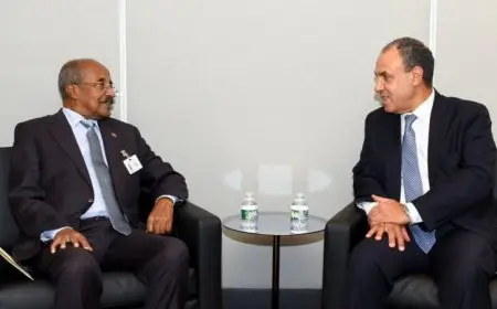 وزير الخارجية يعزز العلاقات التاريخية الراسخة بين مصر وإريتريا